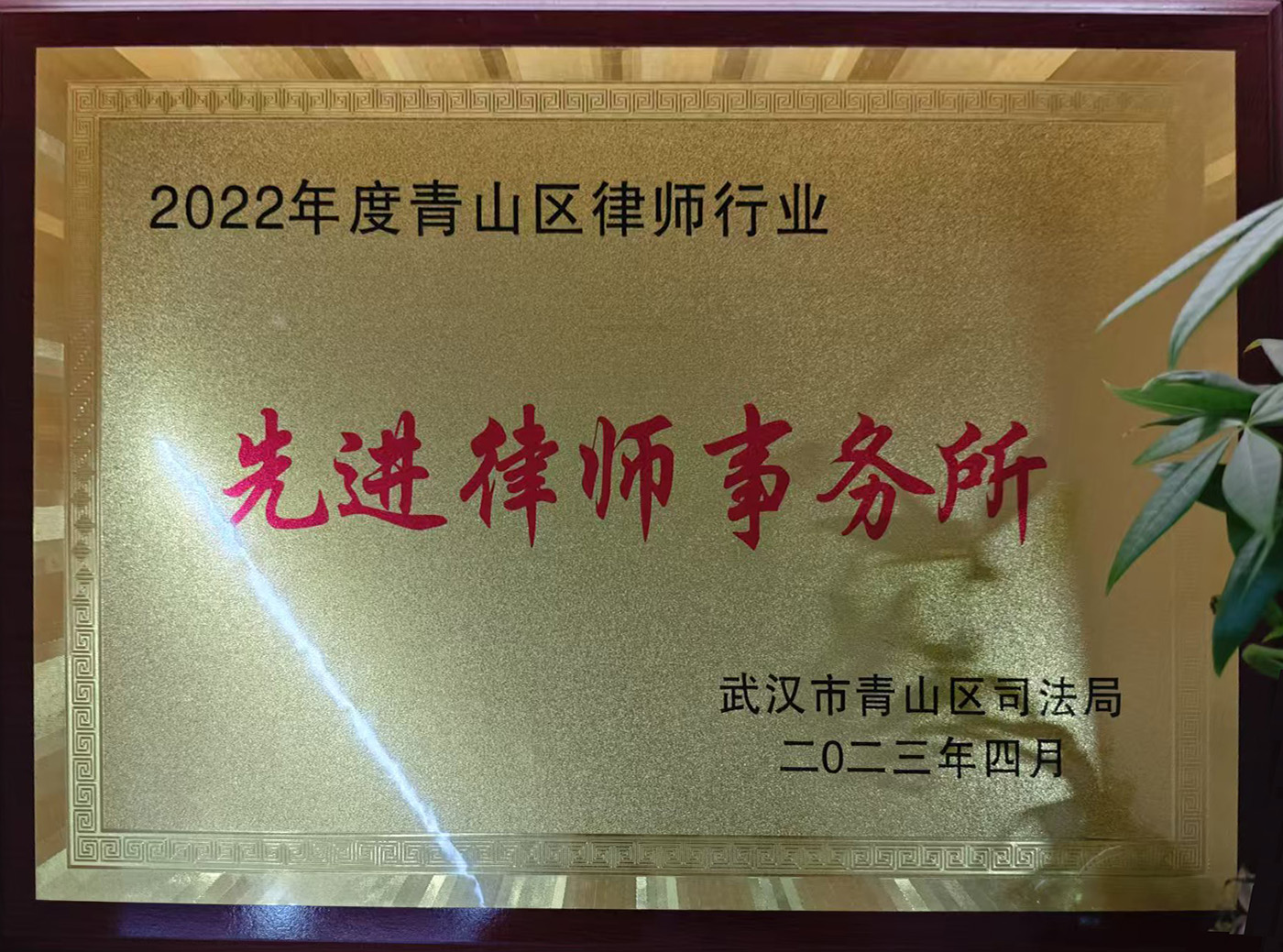 2022年度青山区律师行业“先进律师事务所”